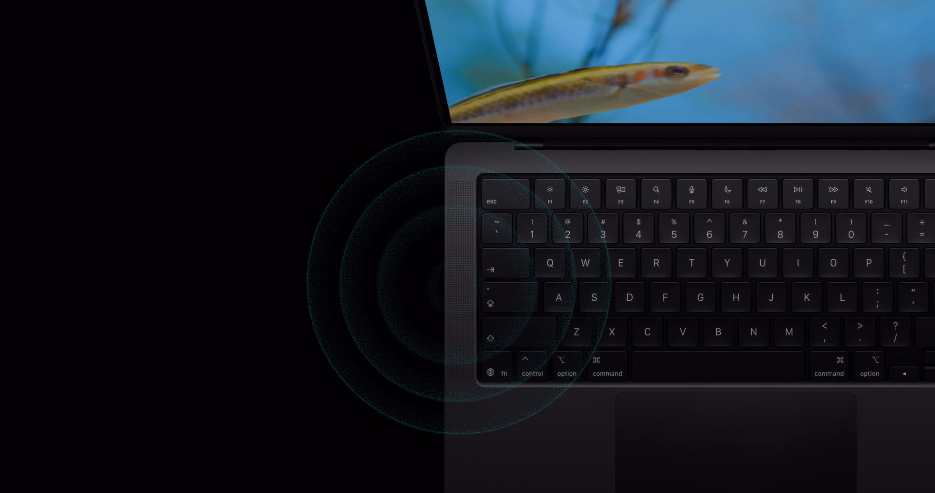 View of the MacBook Pro keyboard and speaker